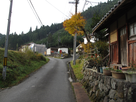 20131124hike (5)